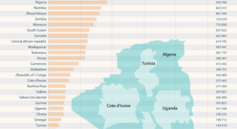 Largest countries in Africa by Area
